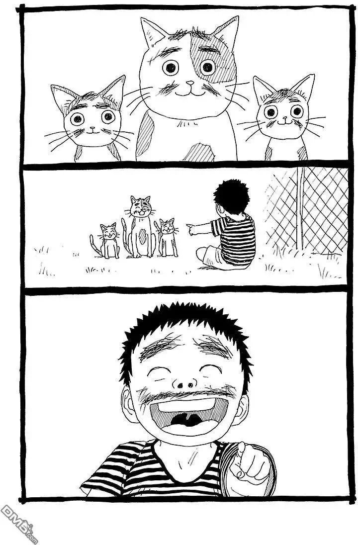 第37卷