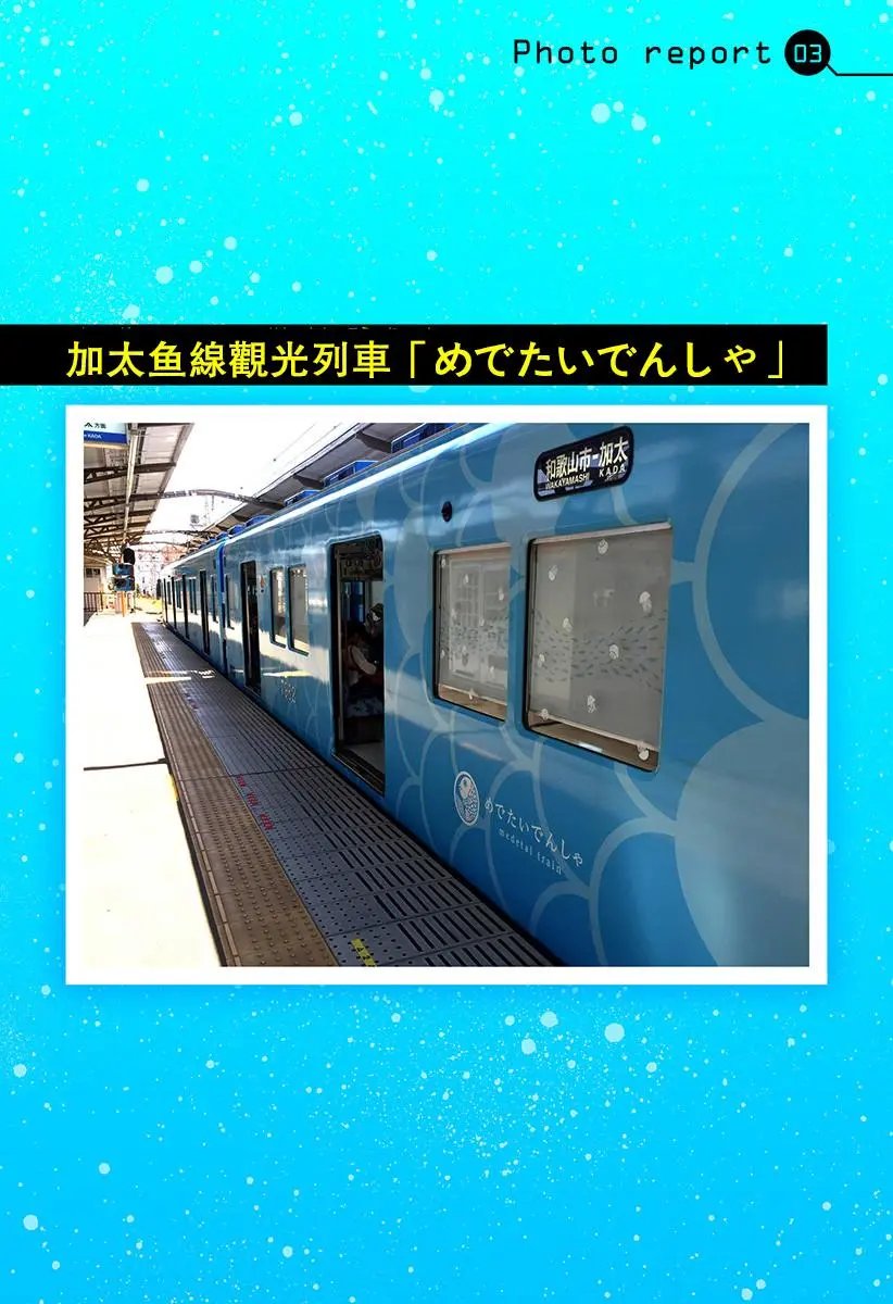 第41.5回