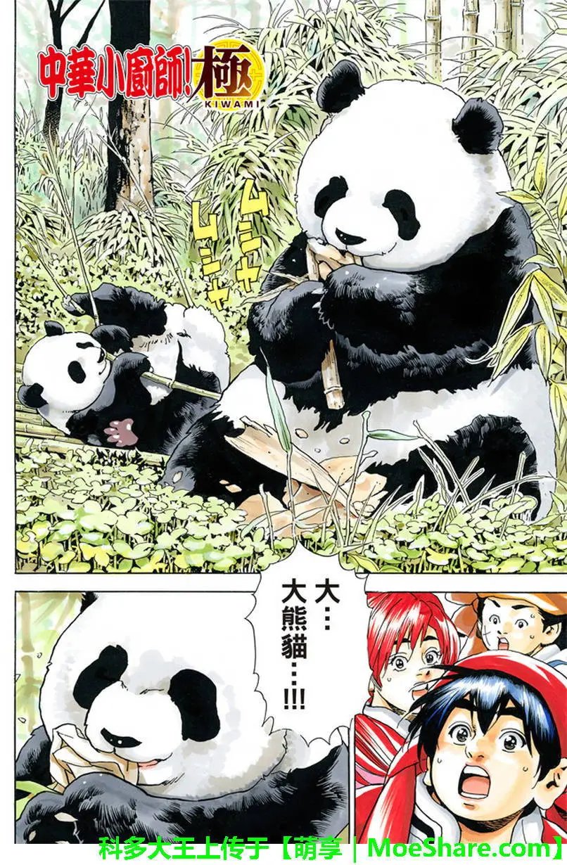 极15