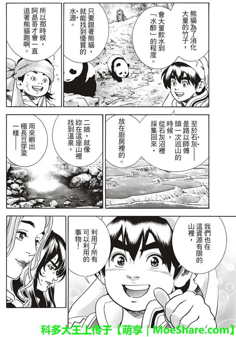 极17