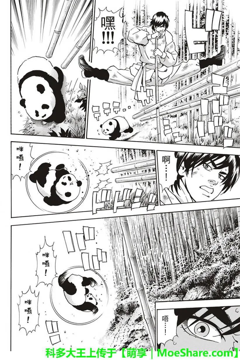 极17