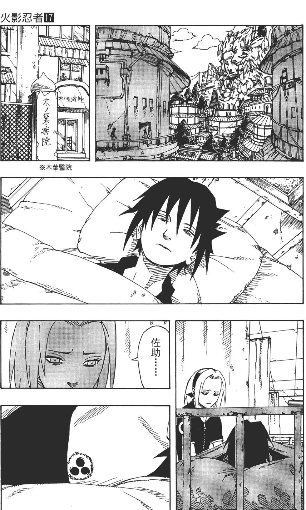 第17卷