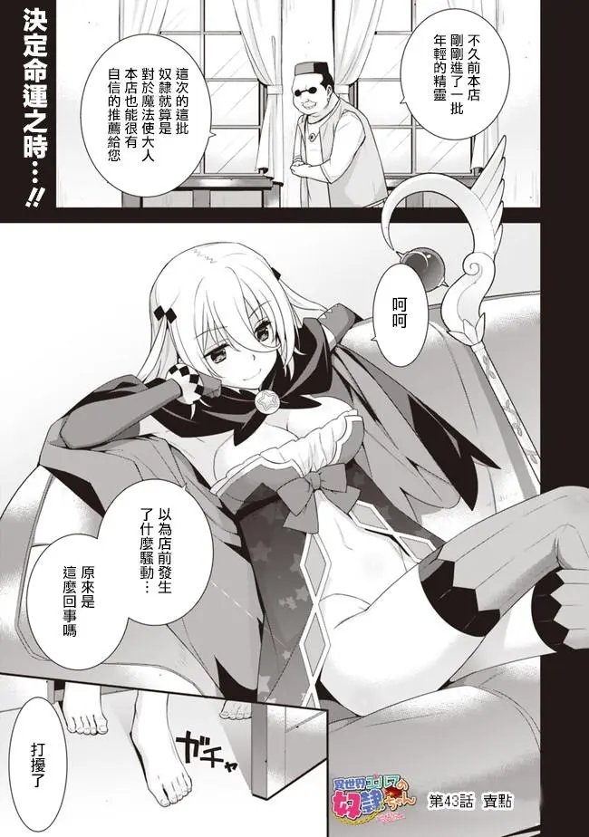 第43回