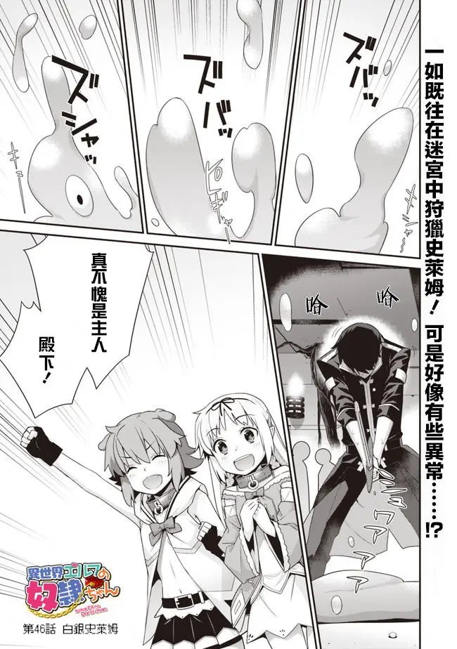 第46回