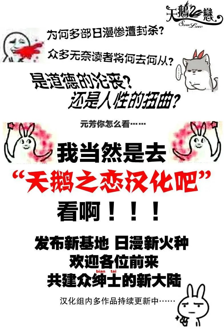 第13回