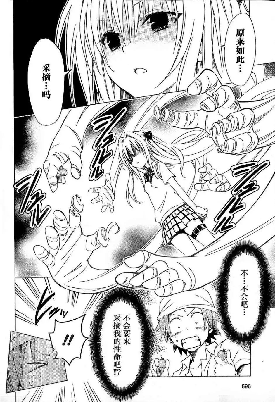第53回