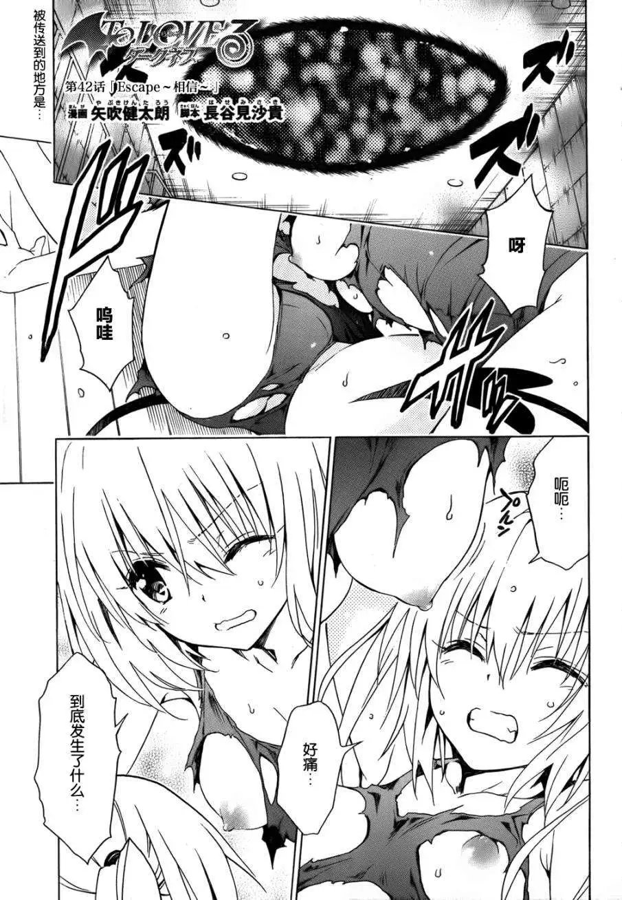第42回