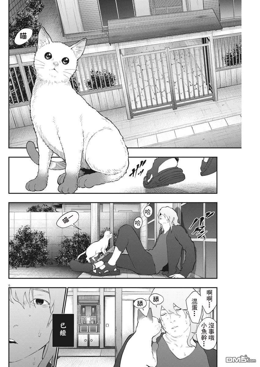 第107话 家猫