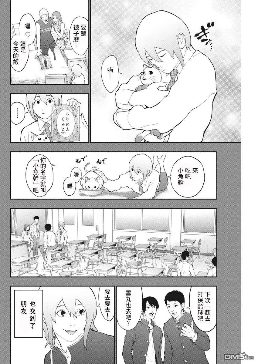 第107话 家猫
