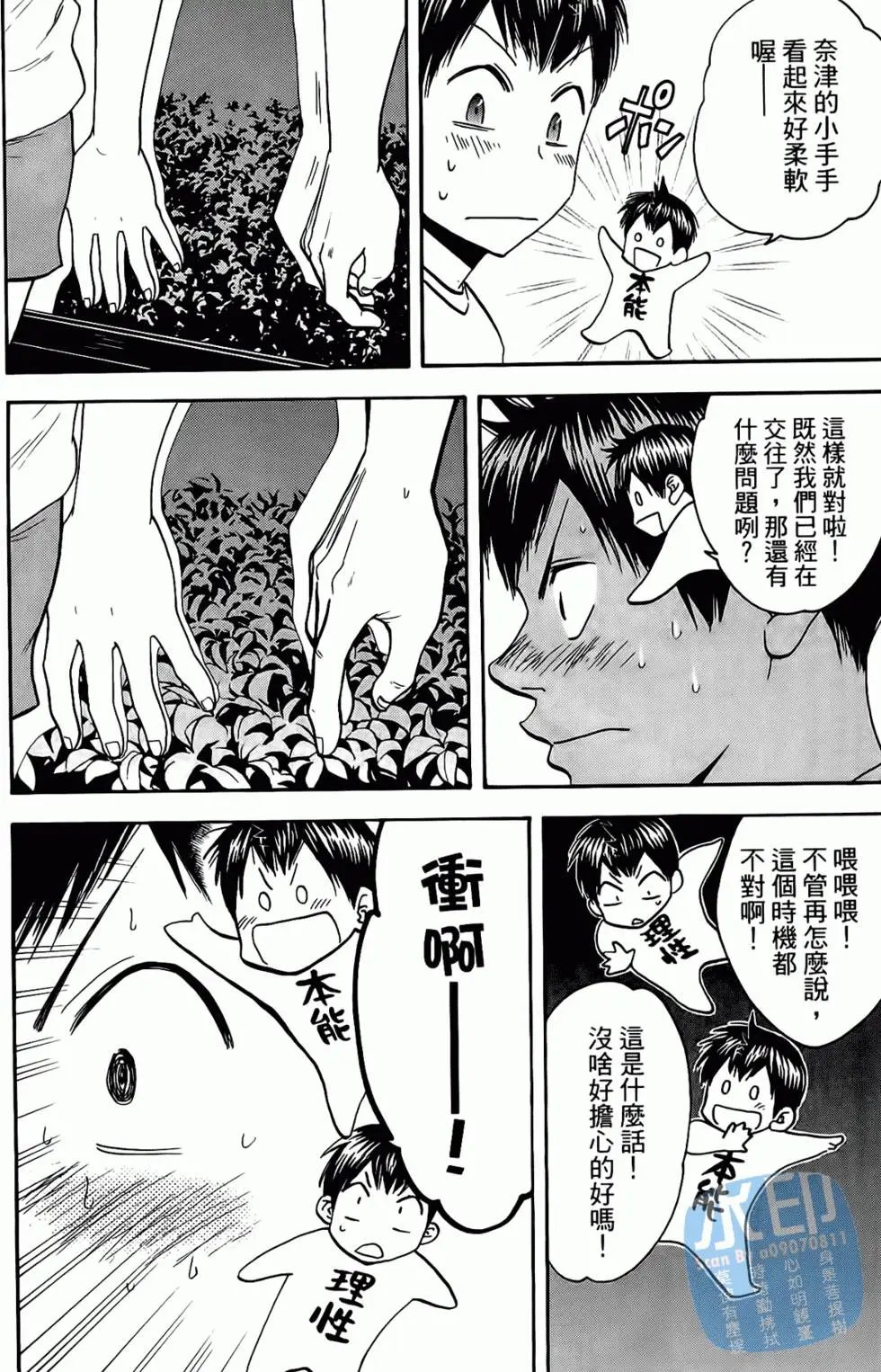 第17卷