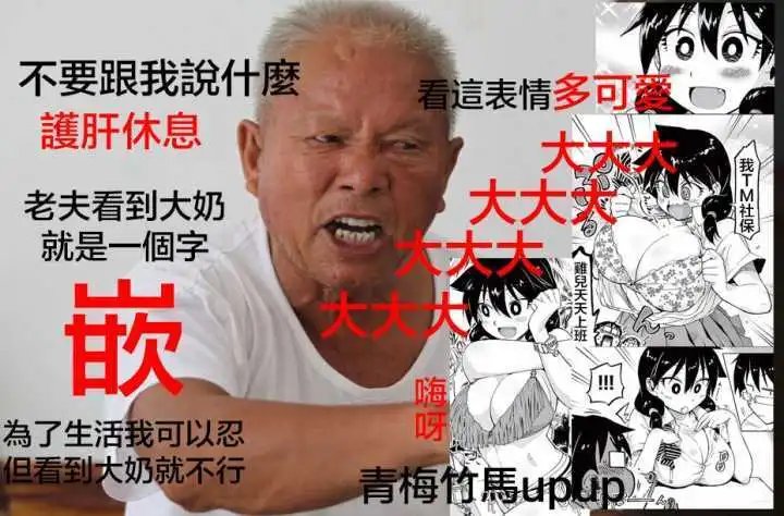 第29回
