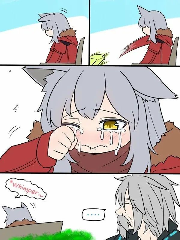 05 孤独的灰狼