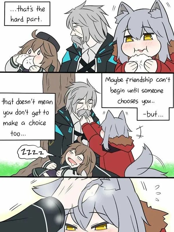05 孤独的灰狼
