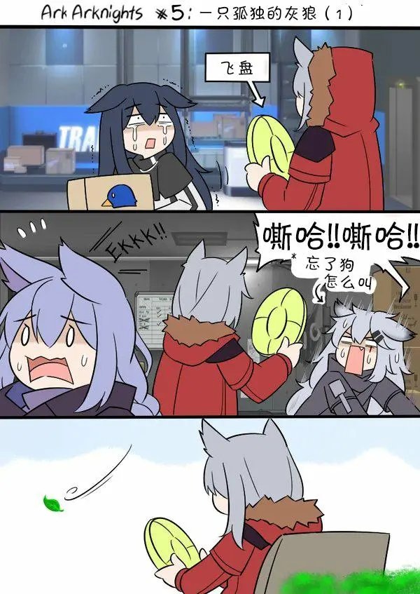 05 孤独的灰狼