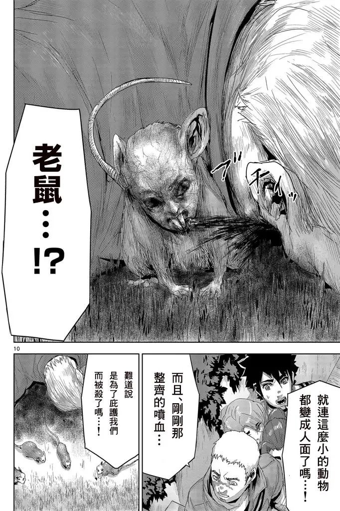 第13回