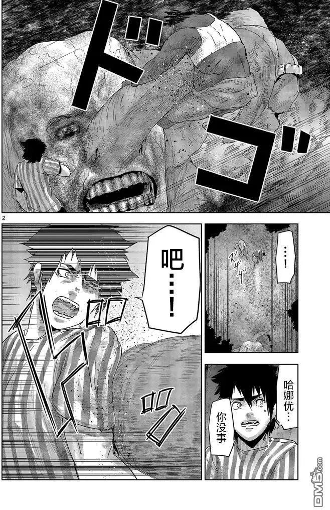 第31回