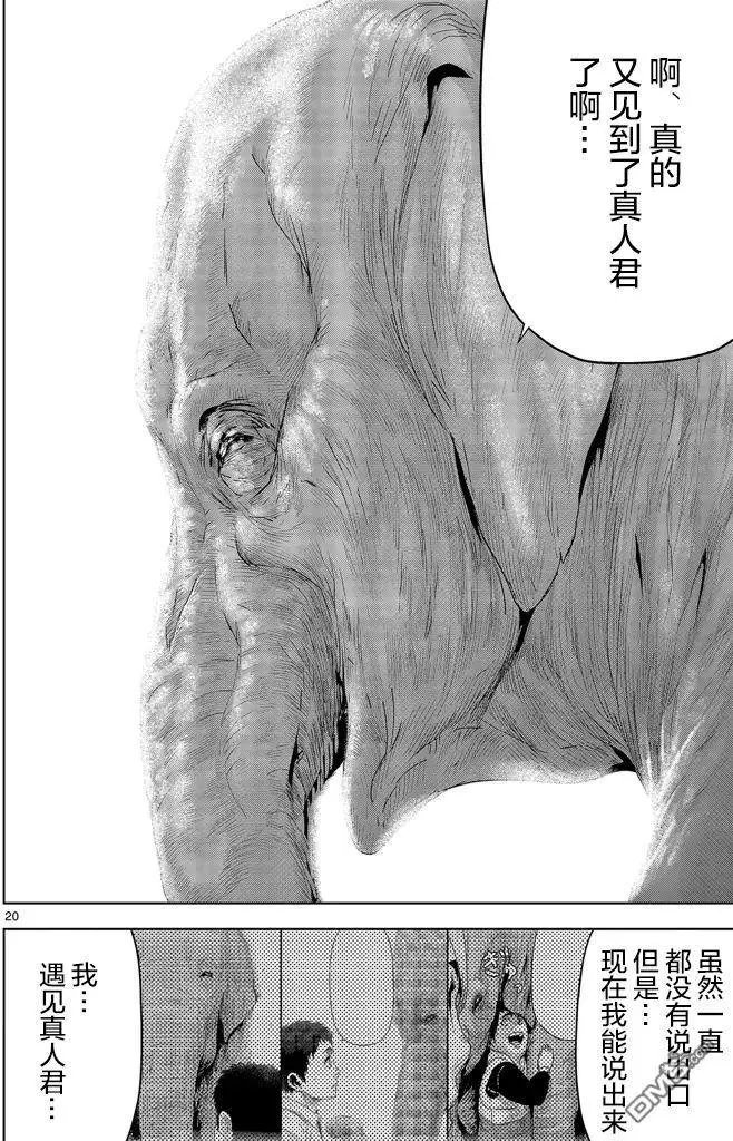 第31回