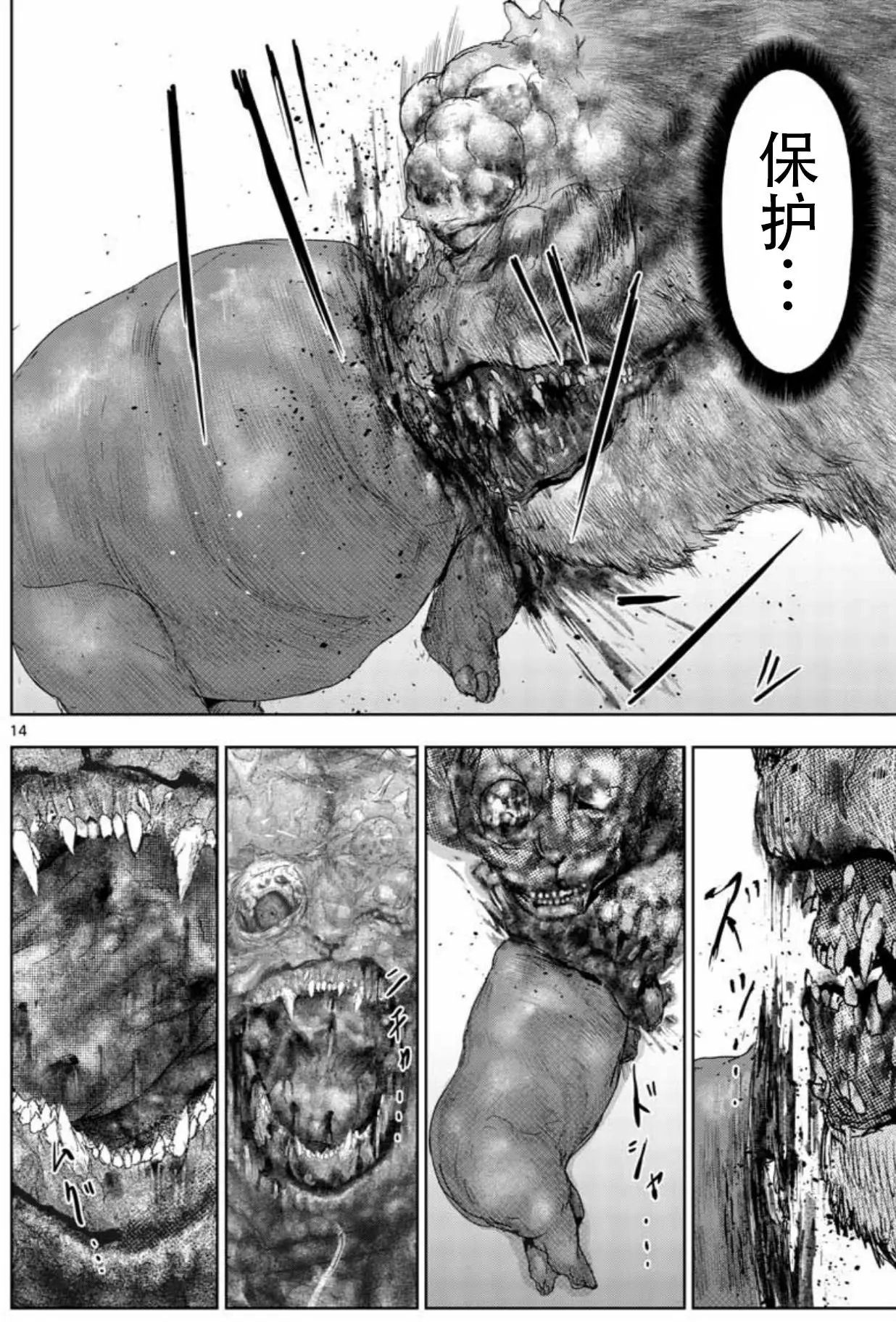 第55回