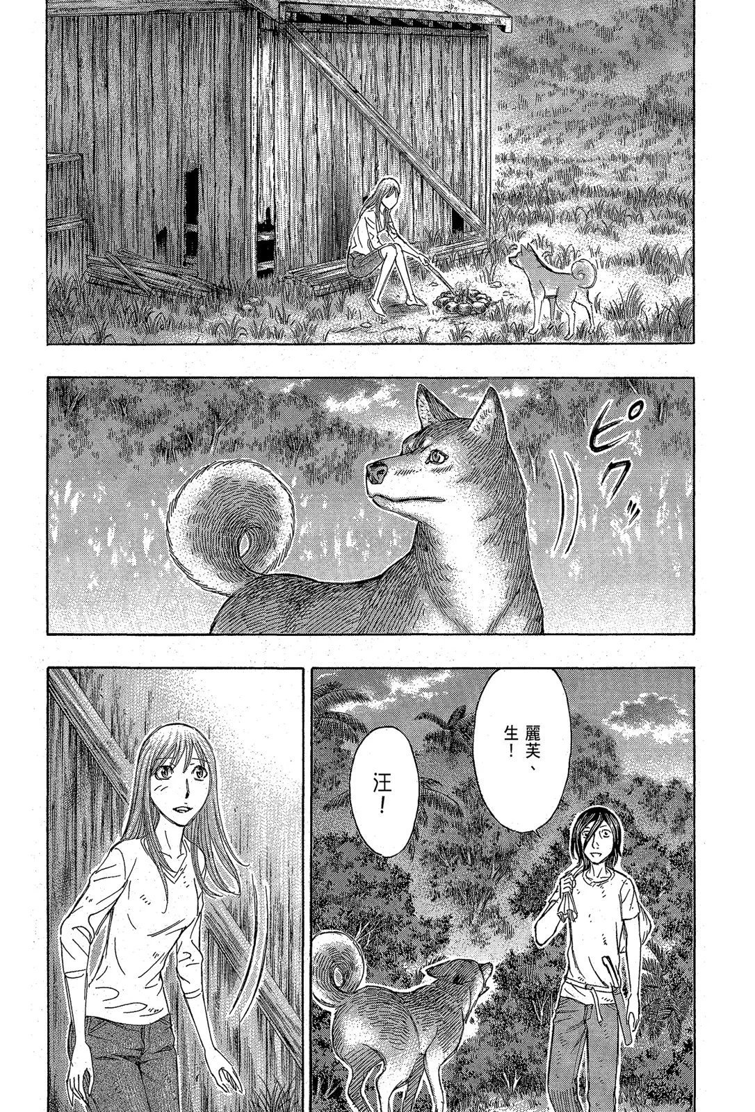 电子版11