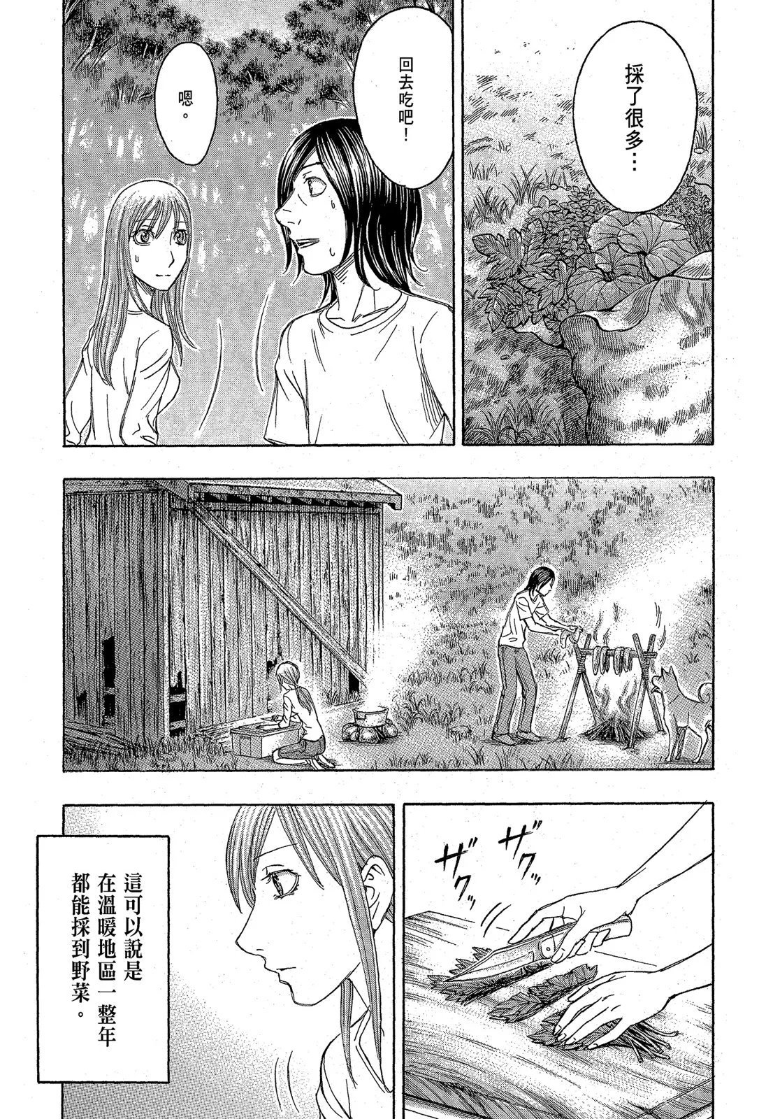 电子版11