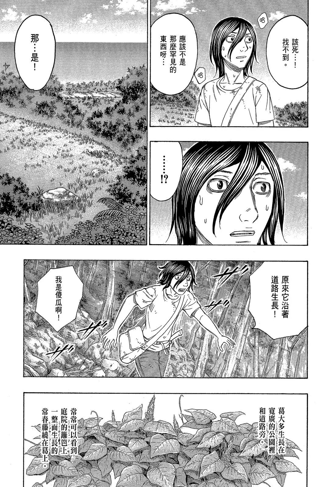 电子版13