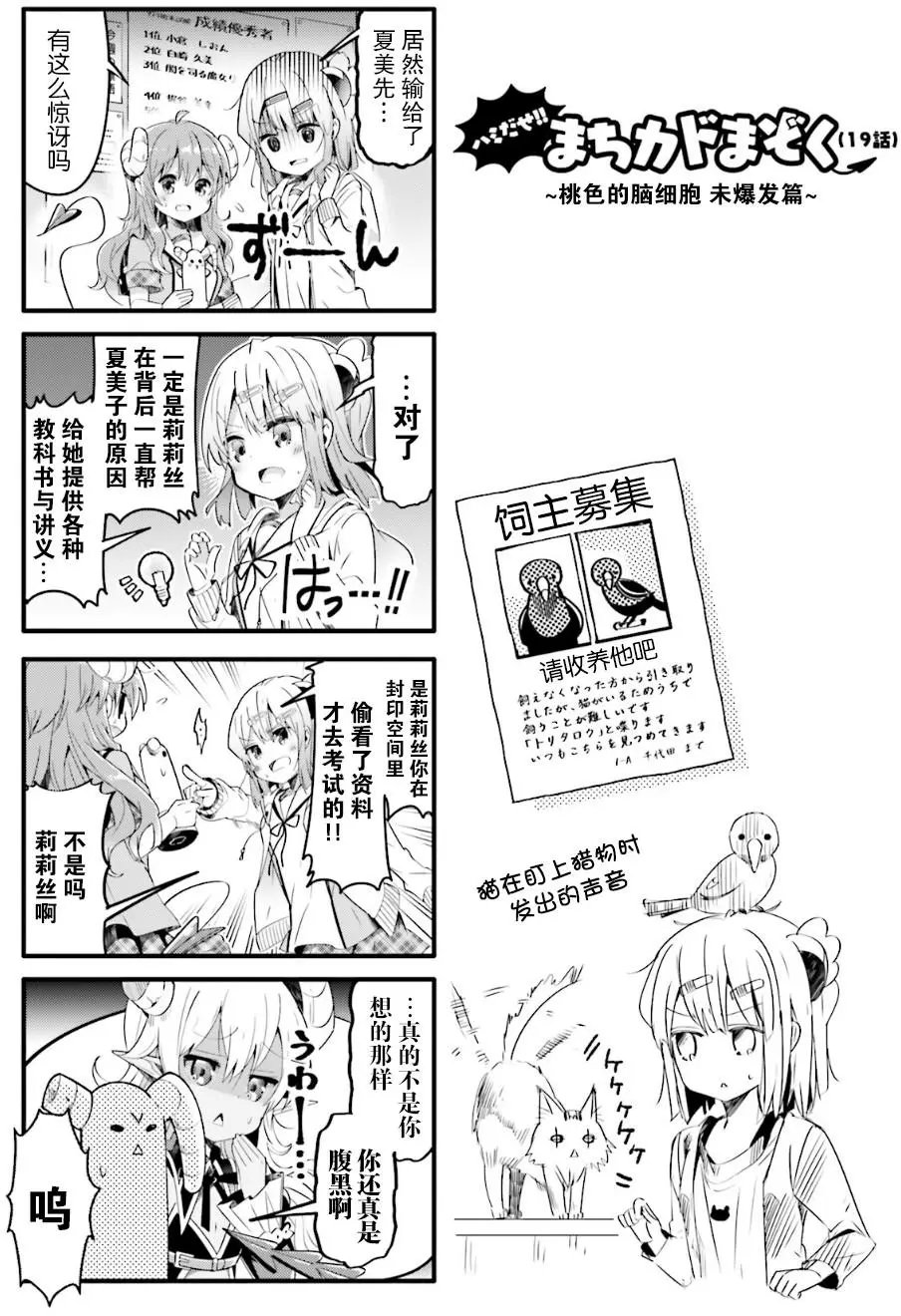 第19回