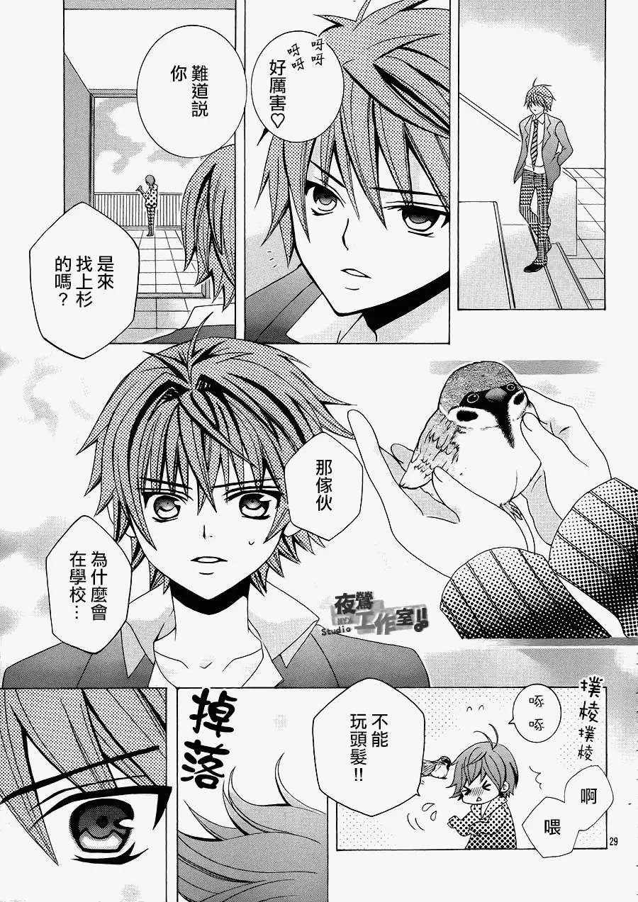 第31回