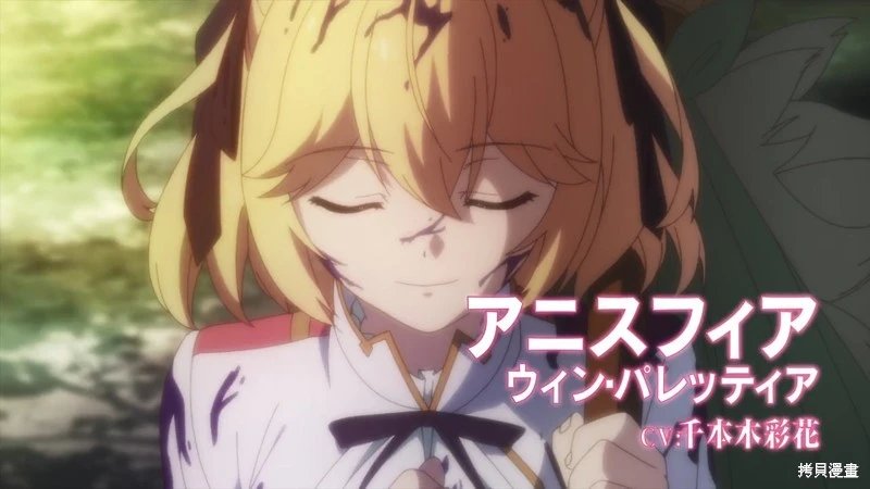 动画化决定