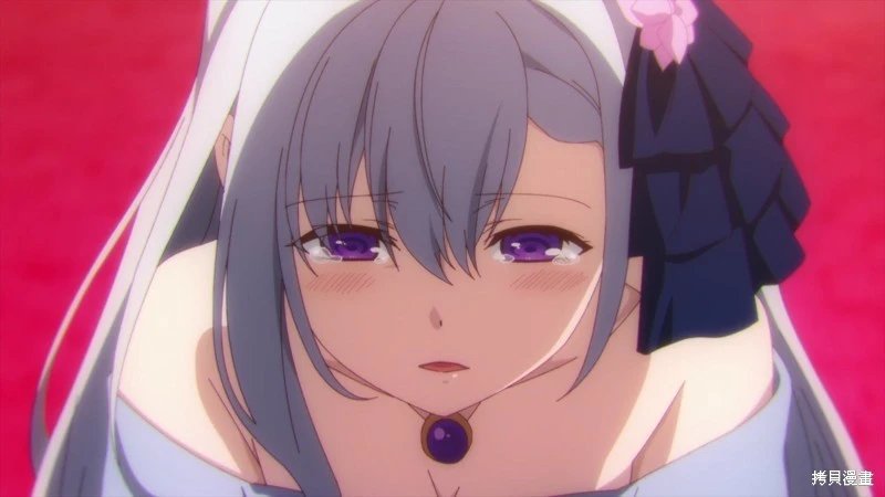 动画化决定