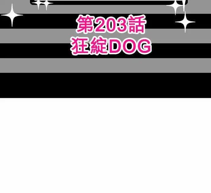 202-献给你的花的颜色