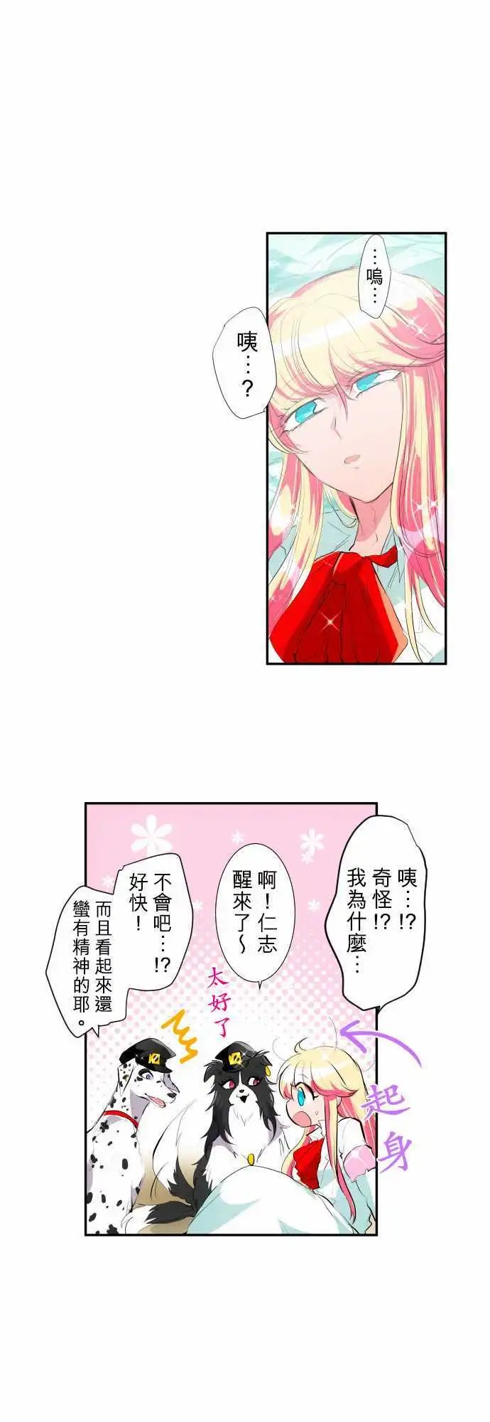 203-狂绽DOG