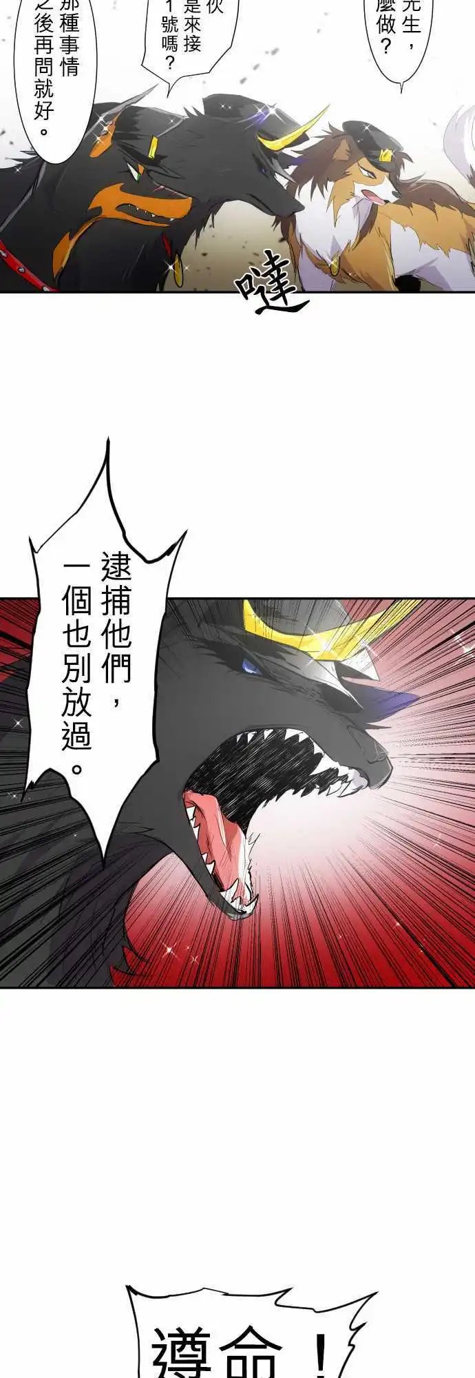 215-第三部下半场开幕！
