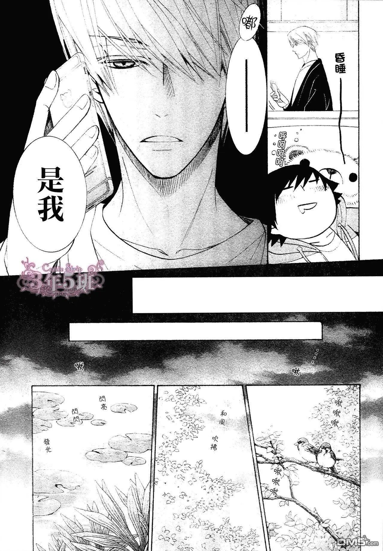 第41回
