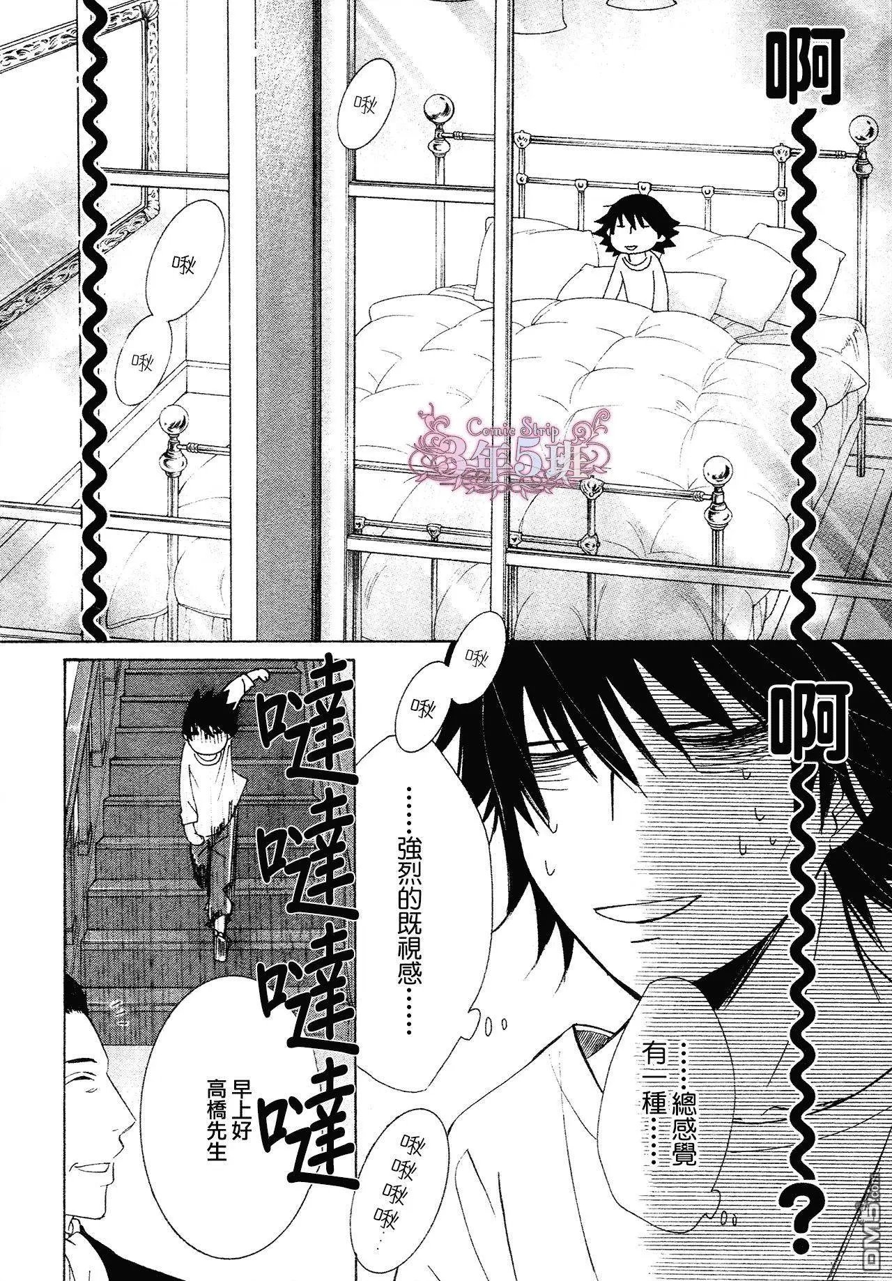 第41回
