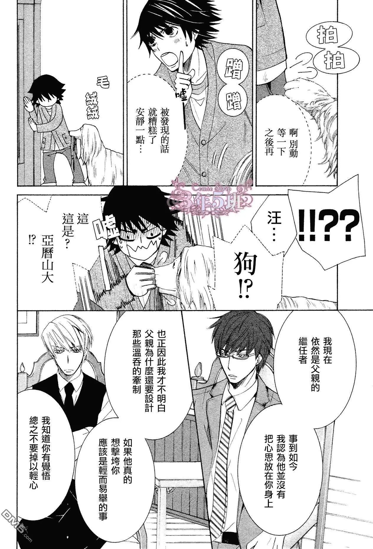 第41回
