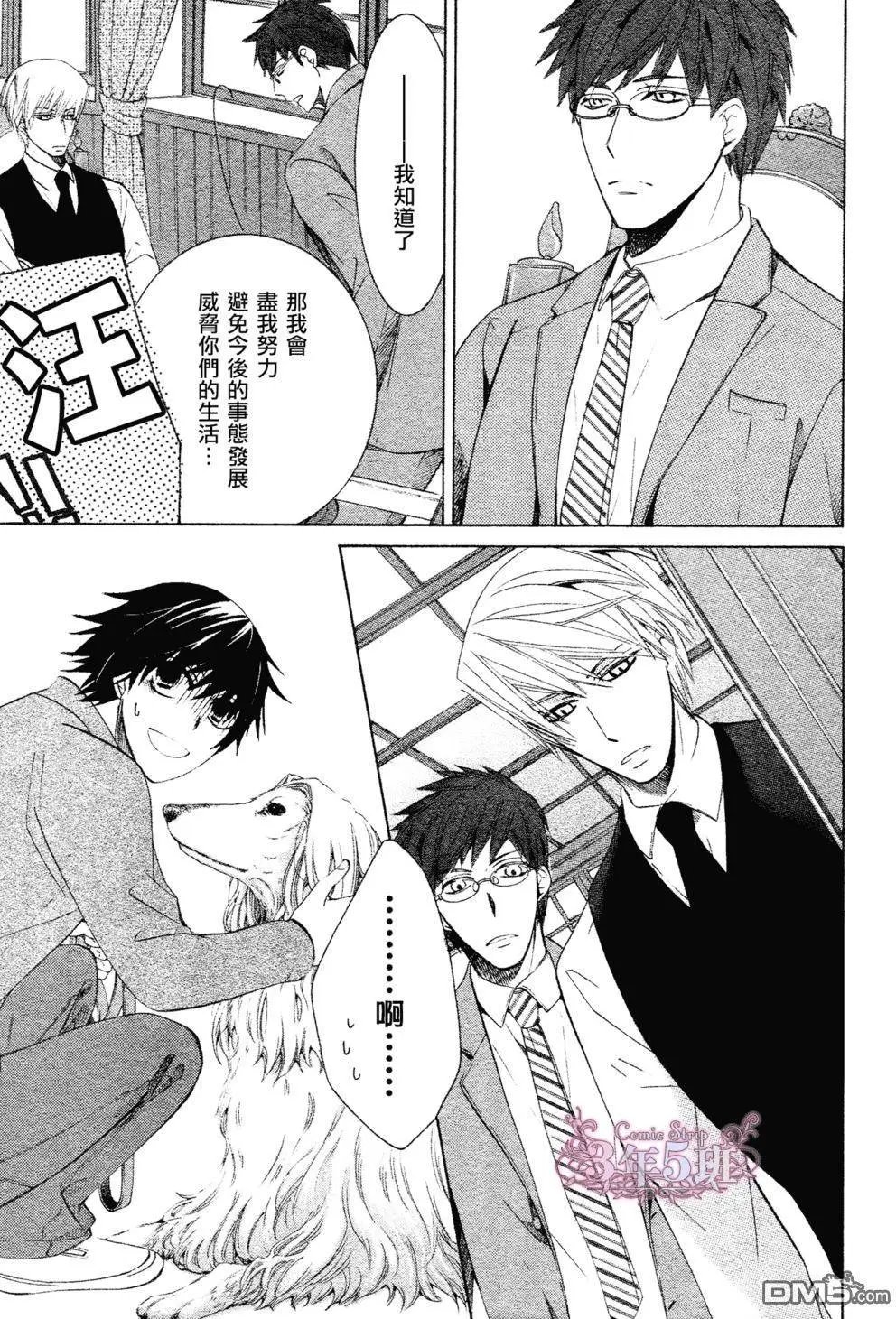 第41回