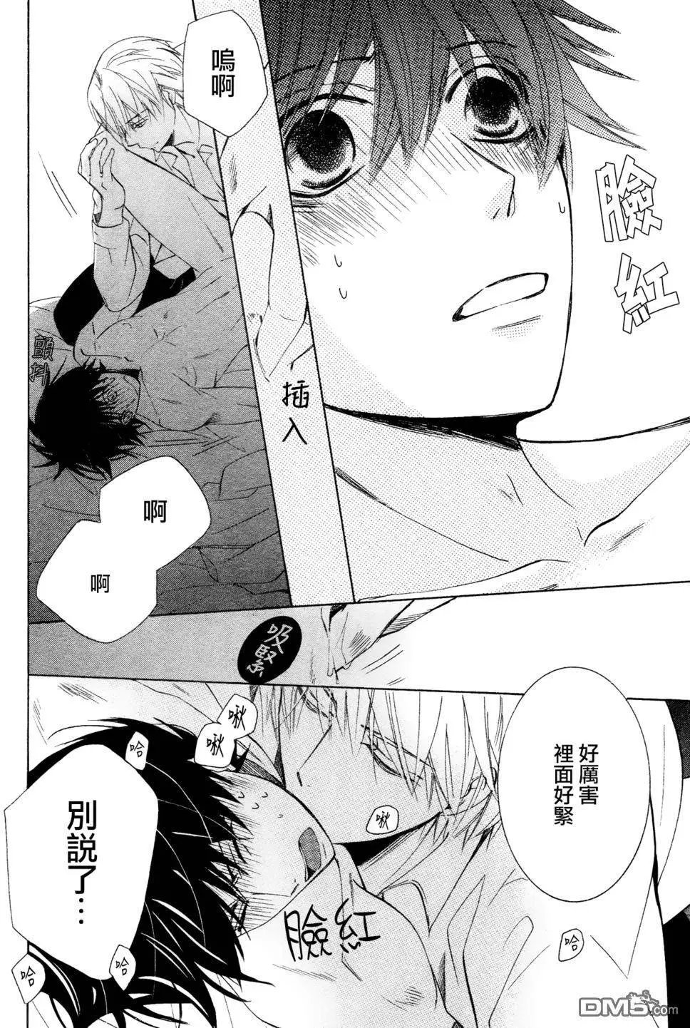 第41回