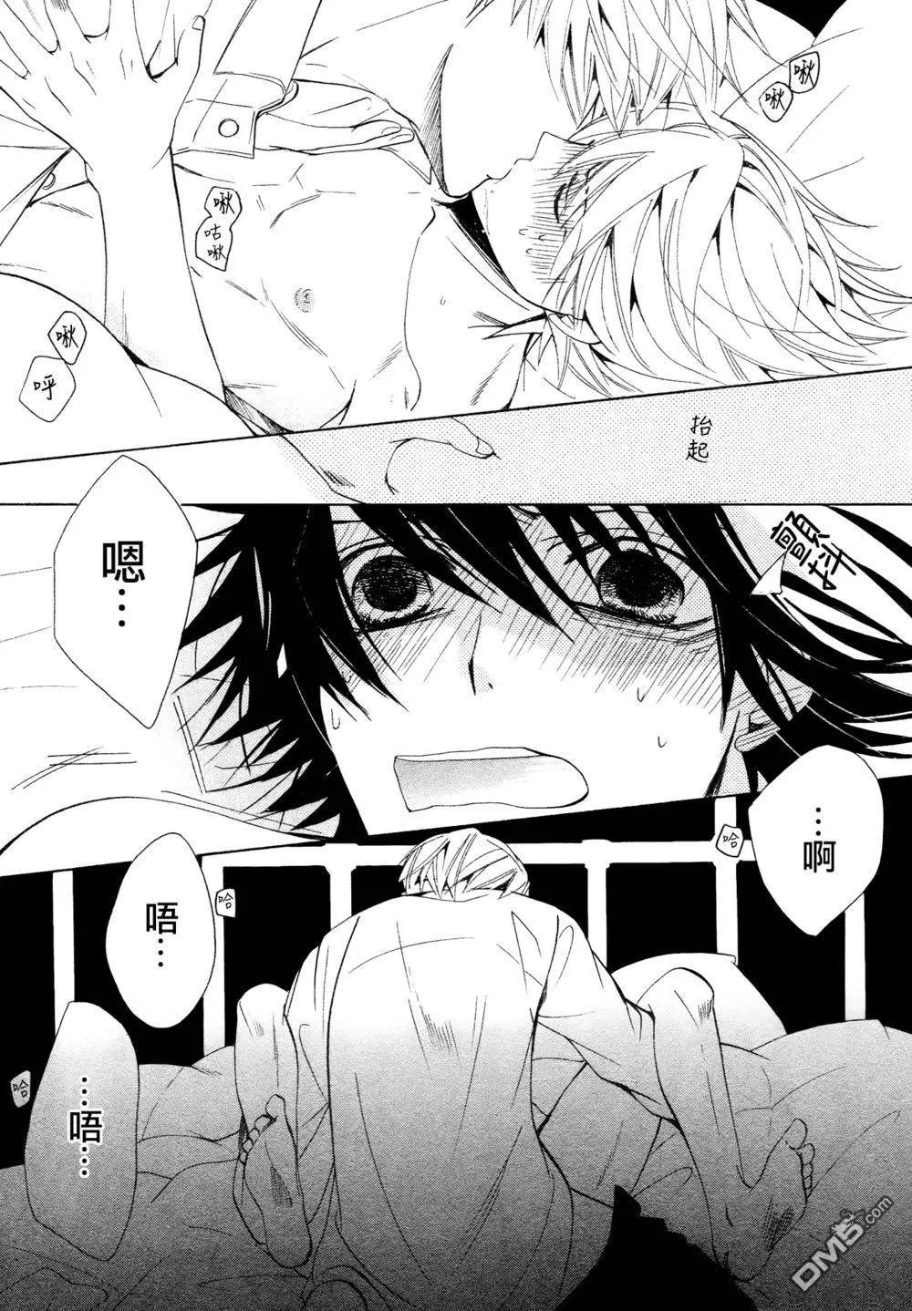 第41回