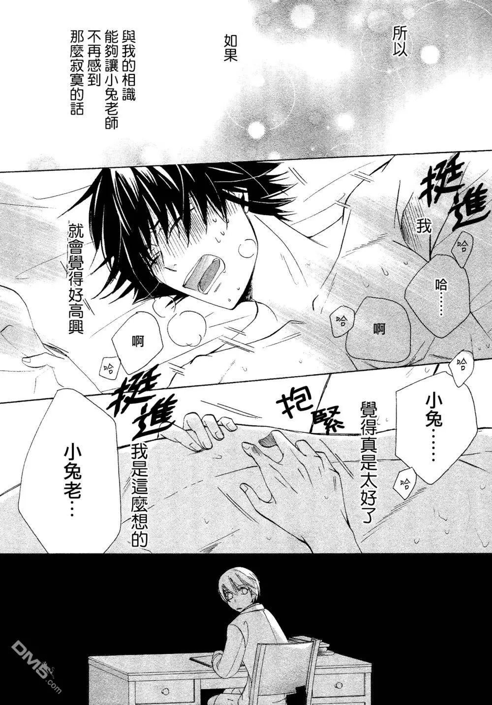 第41回
