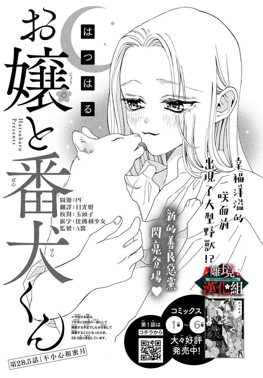 第28.5话