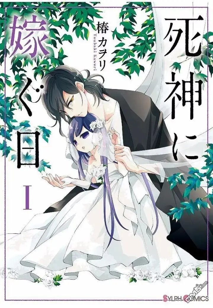 第4.3回