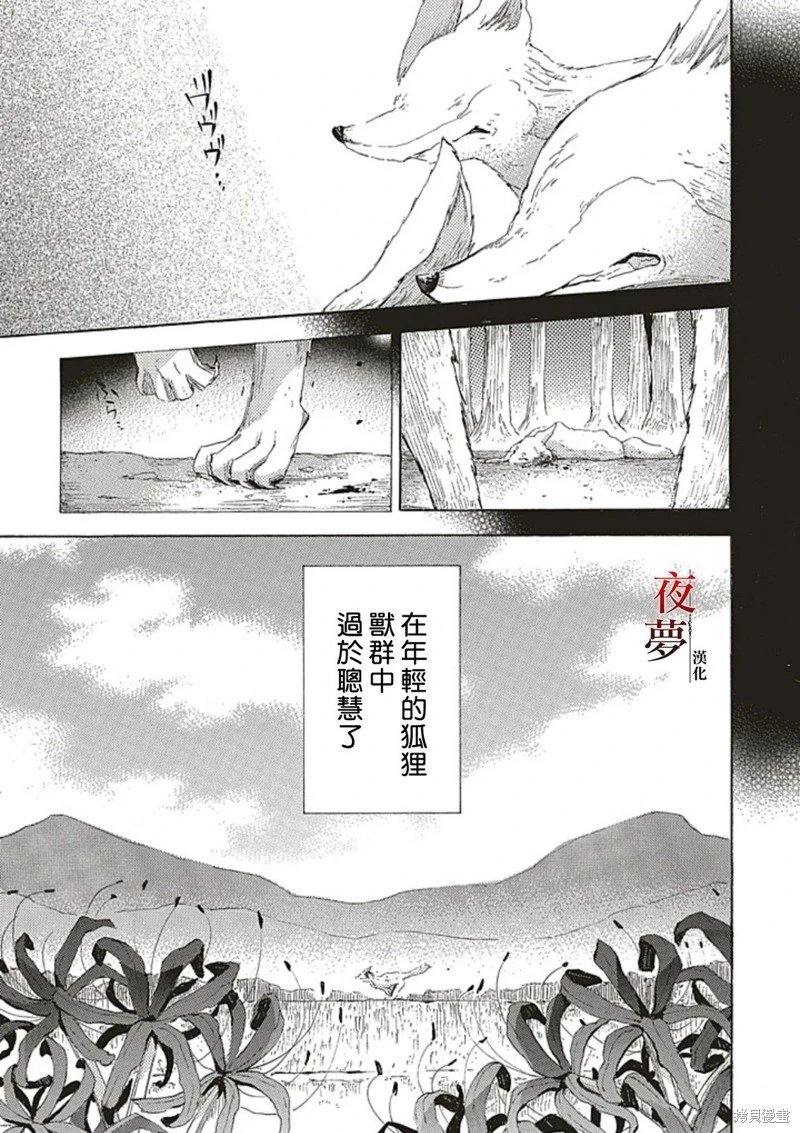 番外篇3