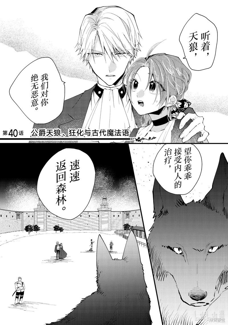 第40.1话