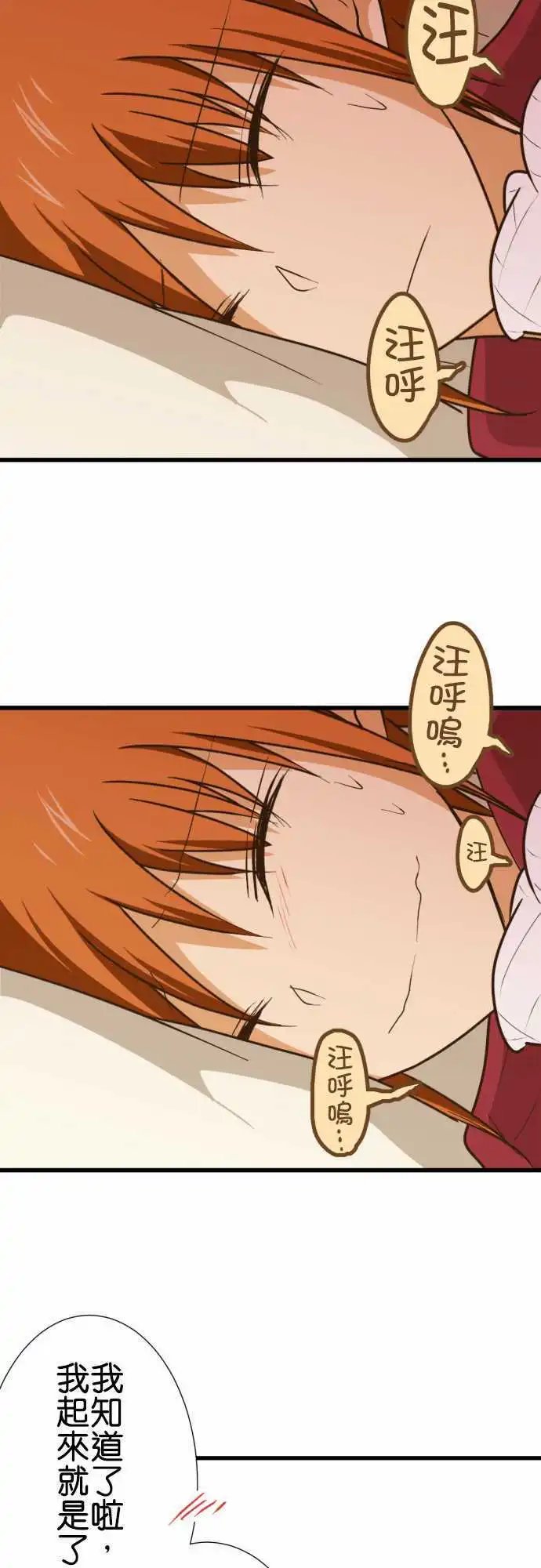 第164话 温暖的雨