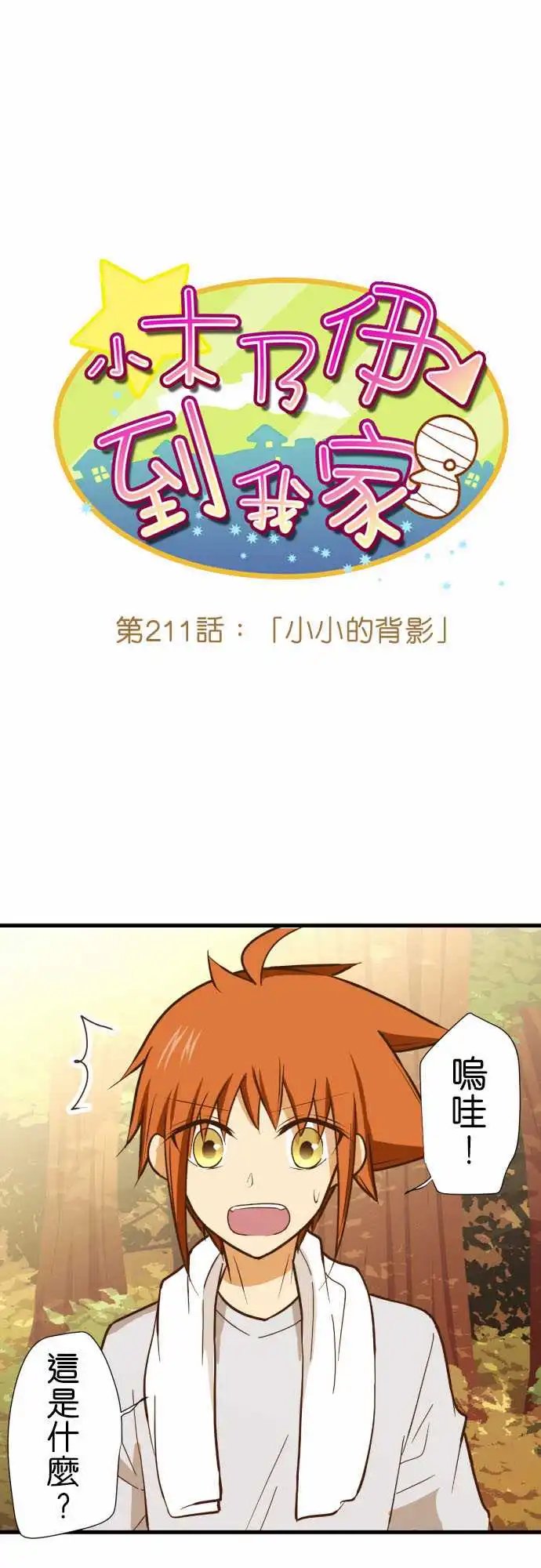 211-小小的背影