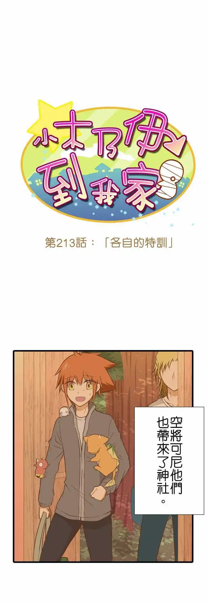213-各自的特训