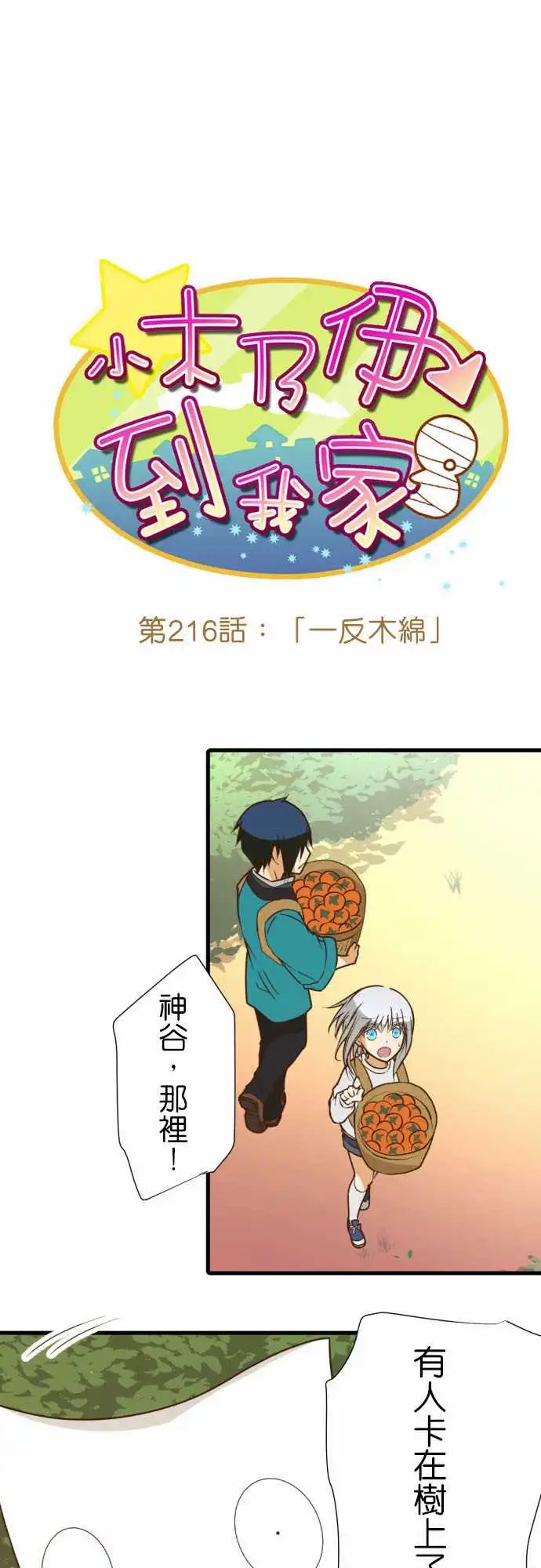 216-一反木棉