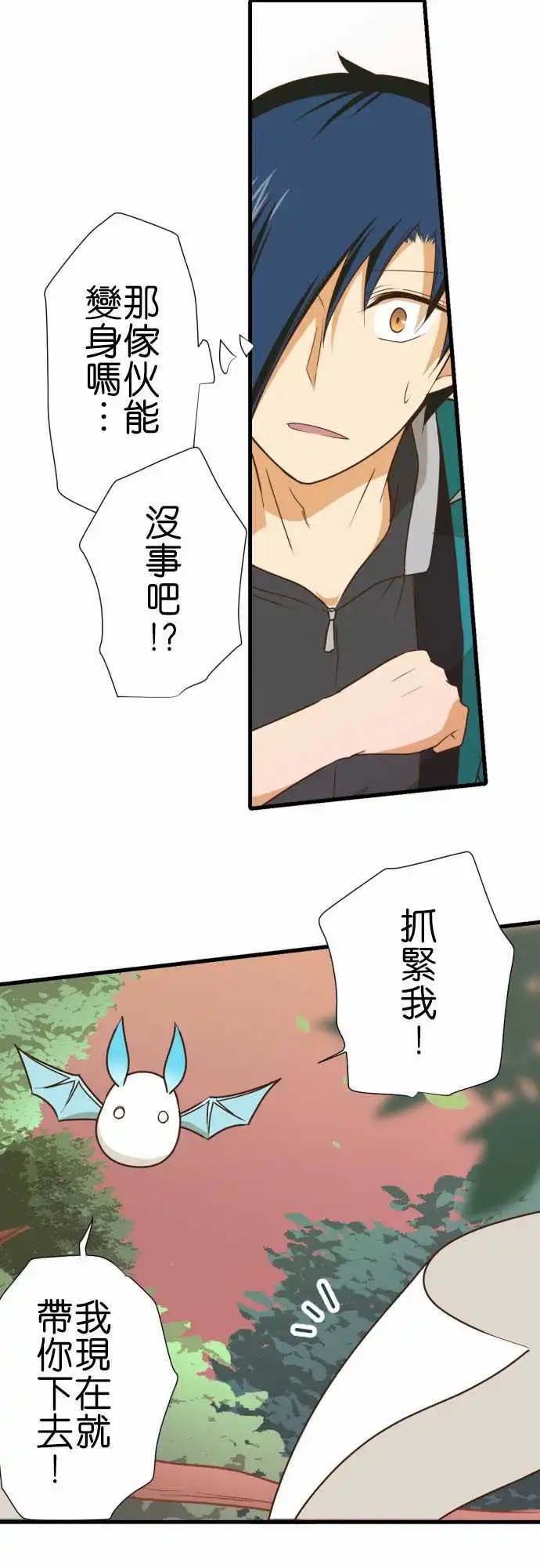 216-一反木棉