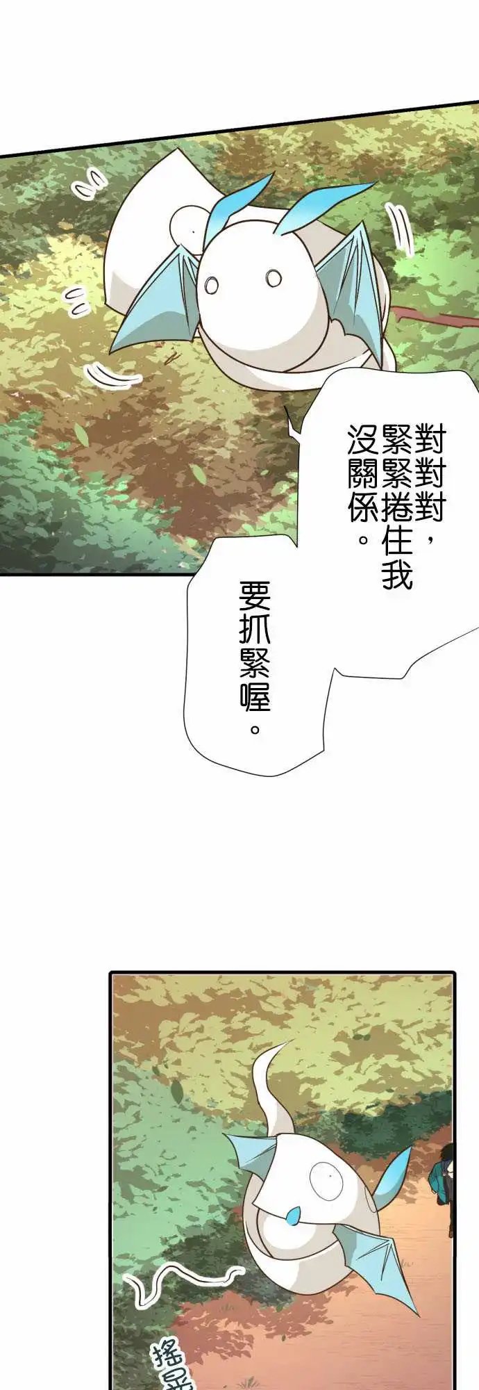 216-一反木棉