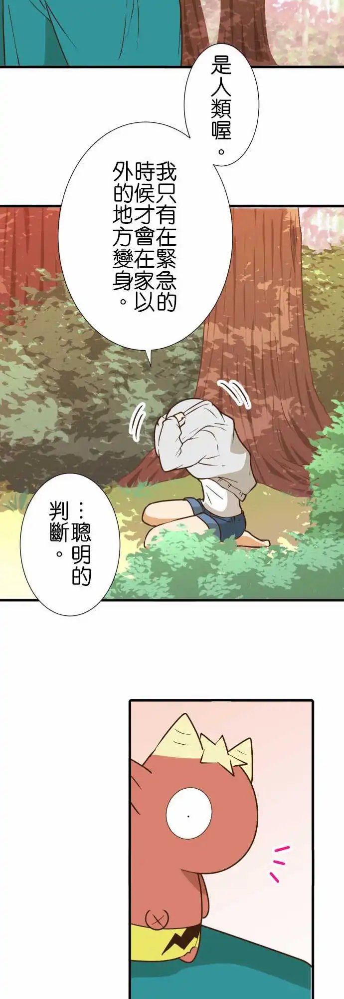 216-一反木棉